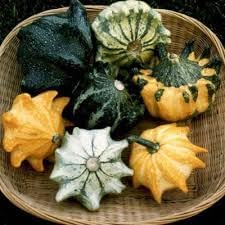 Thorn Gourd Momordica dioica seeds for garden planting